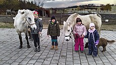 Narychlo uspoádaný den u koní v Jezdeckém areálu Konírna v Doloplazech na...