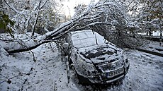V Bulharsku vláda kvli snným bouím vyhlásila na vtin území mimoádný...