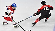 Česká hokejistka Alena Mills v akci proti Japonsku.