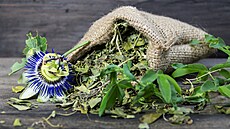 Také mu�enka má uklid�ující ú�inky. �aj si m��ete ud�lat jak ze su�ených, tak z...