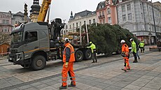 V Ostrav na Masarykov námstí u stojí vánoní strom. Letos je jím 11 metr...