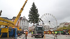 V Ostrav na Masarykov námstí u stojí vánoní strom. Letos je jím 11 metr...