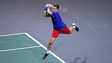 Jií Leheka bojuje ve tvrtfinále Davis Cupu ve panlské Málaze.