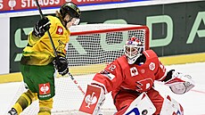 Joona Ikonen z Tampere a pardubický branká� Roman Will