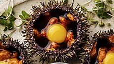 Mo�ská je�ovka s k�epel�ím vejcem