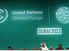 Konference OSN o zmn klimatu COP28 (30. listopadu 2023)