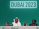 Konference OSN o zmn klimatu COP28 (30. listopadu 2023)