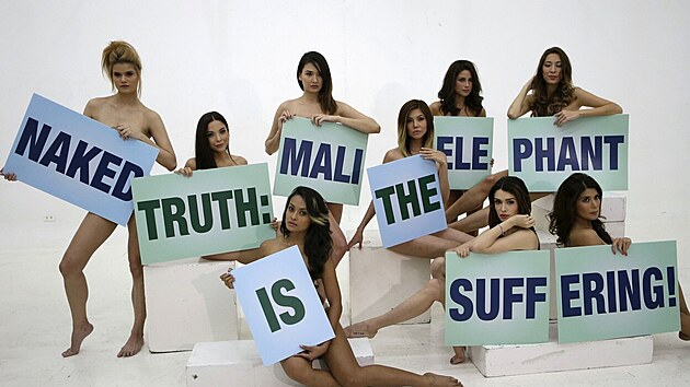 Filipínské modelky pózují pro kampaň organizace PETA. (5. února 2013)