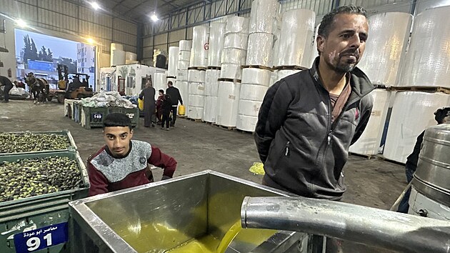 Pro adu palestinskch rodin je vroba olivovho oleje klovm zdrojem obivy. Fotografie z vroby v jedn z mstnch tovren.