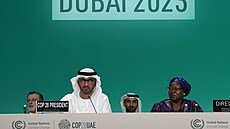 Konference OSN o změně klimatu COP28 (30. listopadu 2023)