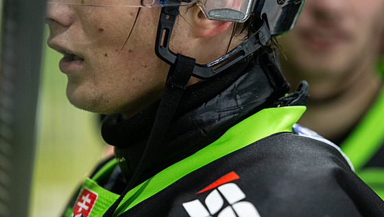 Chráni krku pouívá kupíkladu ilinský hokejista Martin Benko.