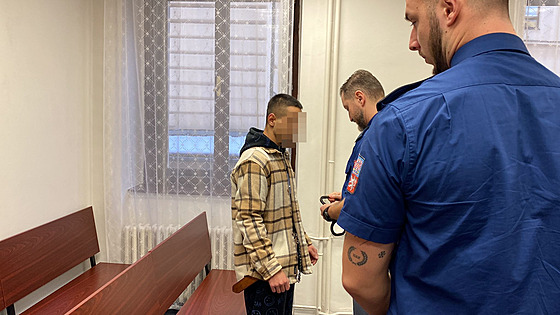 Dvaadvacetiletého Patrika K. poslal Krajský soud v Plzni na deset let do vzení. 