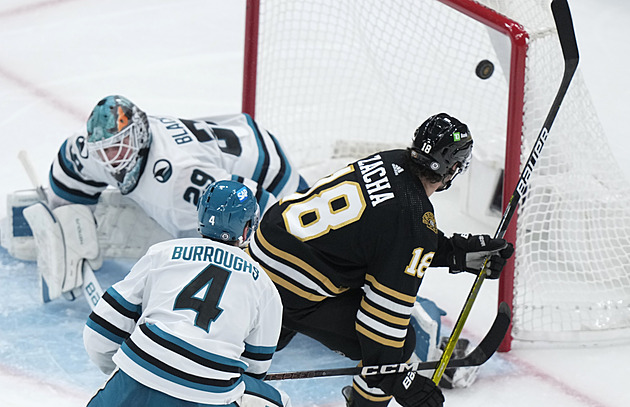 Duda: Zachu by v repre nechtěl jen blázen. Rulík už měl letět do Bostonu