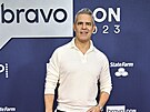 Americký televizní moderátor Andy Cohen má díky náhradní matce syna a dceru....