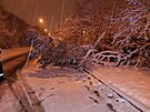 Hasii v Praze kvli snhu odklízí spadané vtve a zlomené stromy. (2. prosince...