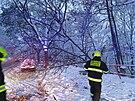 Hasii v Praze kvli snhu odklízí spadané vtve a zlomené stromy. (2. prosince...