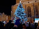 V Plzni na n�m�st� rozsv�tili v�no�n� stromek