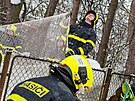 V Dobr� na Fr�decko-M�stecku zachra�ovali ochran��i spole�n� s hasi�i ml�d�...