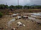 Následn� �ecko zasáhla dal�í tragédie � bou�e Daniel. Ta za�ala jen n�kolik dní...