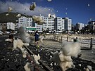 A silným de���m i v�tru se nevyhnulo ani Kapské M�sto, druhé nejv�t�í m�sto...