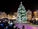 V�no�n� trhy s v�no�n�m stromem na n�m�st� Republiky v Plzni (5. prosince 2023)