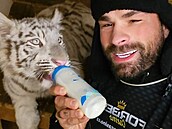 Karlos Vémola krmí svou tygřici Antonii Rambu (listopad 2022).