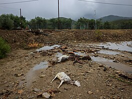 Následn� �ecko zasáhla dal�í tragédie � bou�e Daniel. Ta za�ala jen n�kolik dní...