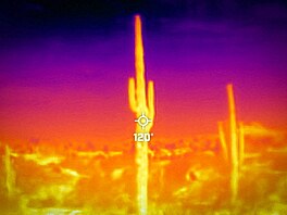 Na svých historických maximech se objevovala i Amerika. Na vin� jsou podle...