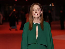 Julianne Moore na Annual Academy Museum Gala (Los Angeles, 3. prosince 2023)