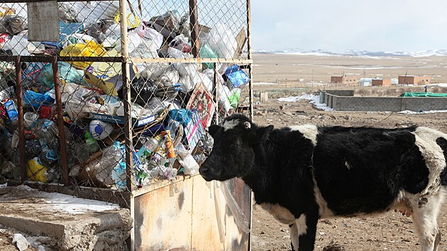Zjitn, e se s plastovmi odpadky poj problmy, pilo do Mongolska trochu opodn.