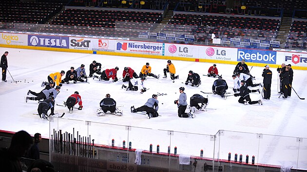 N�V�T�VA ZE ST�T�. Led v hale si vyzkou�eli tak� hokejist� Bostonu, kte�� se zde v ��jnu 2010 chystali na utk�n� NHL proti Phoenixu. V�etn� �esk�ho �to�n�ka Davida Krej��ho a slovensk�ho obr�nce Zdena Ch�ry, jen� p�ed odchodem do z�mo�� kr�tce p�sobil ve Spart�.