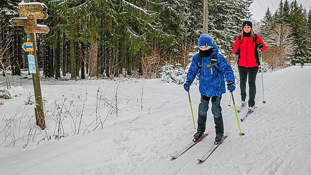 Běžkaři od začátku týdne mohli využívat pět kilometrů stop v okolí Lyžařského areálu Zadov. O víkendu k nim přibudou další na Šumavě i na Lipensku.