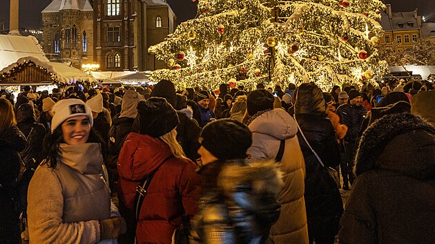 Na Staroměstském náměstí se v sobotu v 16:30 rozzářil vánoční smrk původem z Českolipska. (2. prosince 2023)