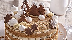 Sko�icov� dort s ka�tanov�m kr�mem