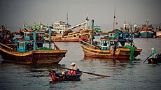 U b�eh� vietnamského Quang Ngai se v roce 2019 neodehrála katastrofa. A práv�...