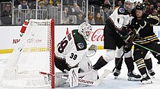 Branká� Connor Ingram z Arizony práv� inkasoval gól od bostonského Davida...