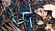 H�ebíky a h�eby na silnici mezi obcemi Sedli�t� a �epi�t� na Frýdecko-Místecku....