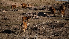 ilustra�ní snímek