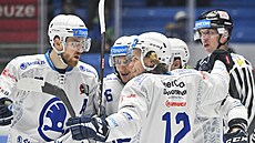 Hokejisté Plzně se radují z gólu v zápase s Mladou Boleslaví.