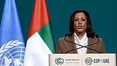 Viceprezidentka USA Kamala Harrisová na klimatickém summitu COP28 (2. prosince...