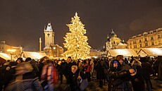 Na Staroměstském náměstí se v sobotu v 16:30 rozzářil vánoční smrk původem z...