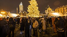 Na Staroměstském náměstí se v sobotu v 16:30 rozzářil vánoční smrk původem z...