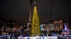 Vánoční strom zaslaný norskou metropolí na Trafalgarském náměstí v Londýně (7....