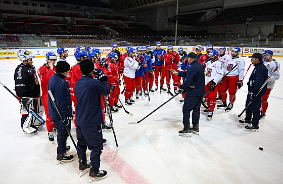 Trénink eské hokejové reprezentace ped výcarskými hrami.