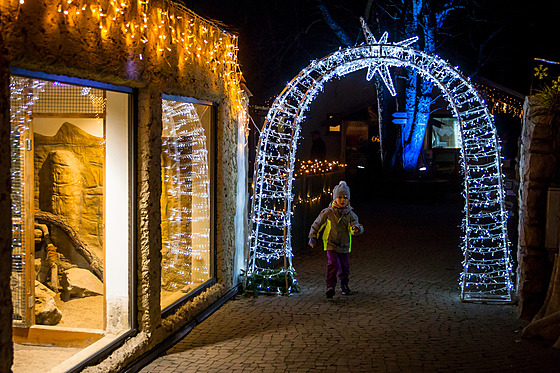Píchozí v zoo Hluboká uvidí svítící zvíata i rzné adventní dekorace....