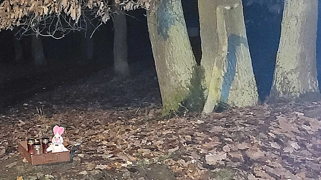 V Klánovickém lese se mordovalo a loupilo už před tisíci lety. „Běhat už tam chodit nebudu," říká po další vraždě místní