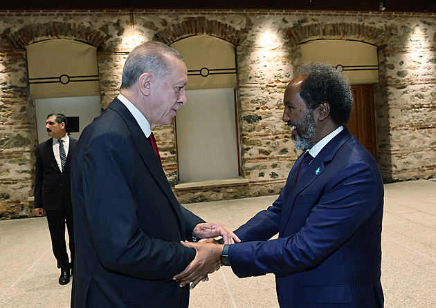 Nechali jste uprchnout vraha, bouří Turci po nehodě syna somálského prezidenta