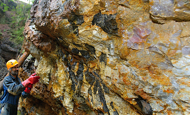 V lomu v Píseckých horách u Písku se na konci 19. století t�il �ivec i r��enín.