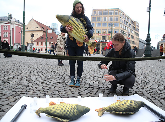 Když už si kupujete kapra, tak ne živého! Aktivisté protestovali proti týrání ryb