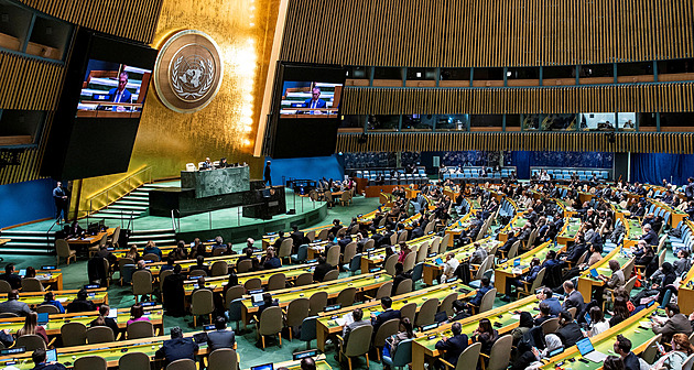 Rada bezpečnosti OSN v rezoluci vyzvala k humanitární pomoci, ne k příměří